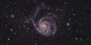 Die Pinwheel-Galaxie, Messier 101, im Sternbild Großer Bär.