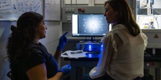 Die Doktorandin und Erstautorin Valeska Zambra bespricht die Eigenschaften einer UTe2-Probe mit Assistenzprofessorin Kimberly Modic