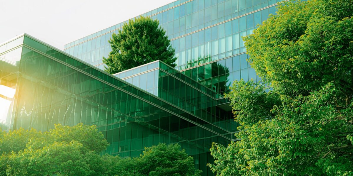 Bäume zwischen Häusern; Glasfassaden