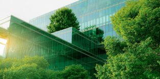 Bäume zwischen Häusern; Glasfassaden