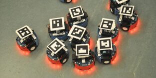 Die kleinen Radroboter im Experiment der Harvard-Forschenden