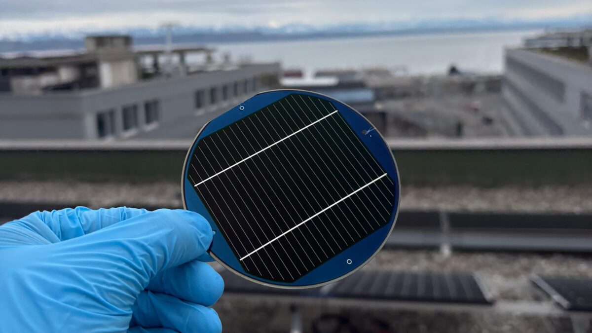 Hand in blauem Gummi-Laborhandschuh hält Solarzellen-Wafer