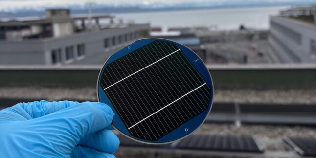 Hand in blauem Gummi-Laborhandschuh hält Solarzellen-Wafer