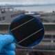 Hand in blauem Gummi-Laborhandschuh hält Solarzellen-Wafer
