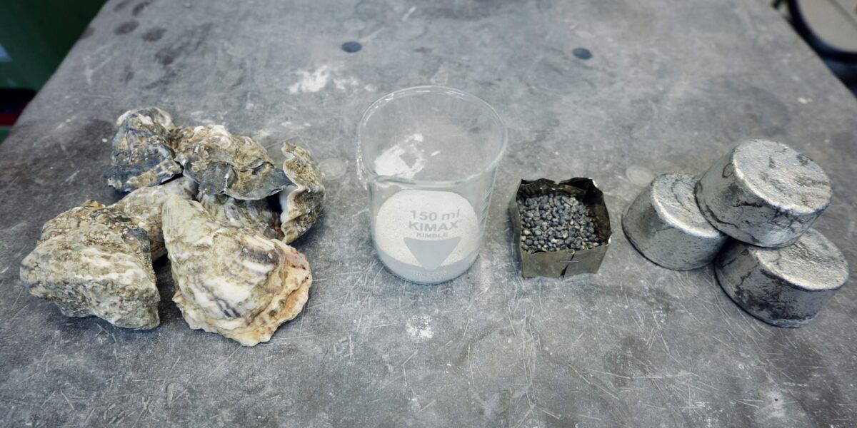 Austernschalen, Calcium, Magnesium