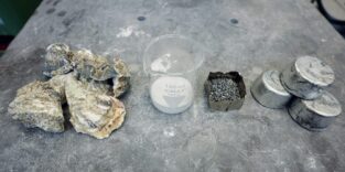 Austernschalen, Calcium, Magnesium