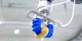 Fingergreifer greift Kartoffel