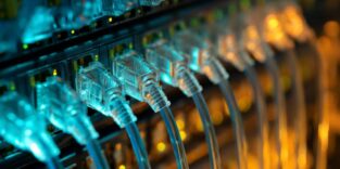 Nahaufnahme einer Reihe durchsichtiger RJ45-Netzwerkstecker, die in die Ports eines Switches gesteckt sind