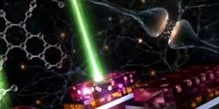 Neuromorpher Chip speichert und berechnet gleichzeitig