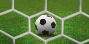 Ein Fußball liegt auf grünem Rasen, davor sieht man das weiße Netz des Fußballtors.