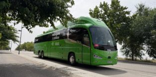 Grüner Bus auf Straße