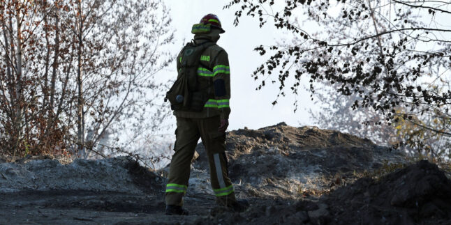 Ein Feuerwehrmann durchquert das Waldgebiet nahe Meuselwitz