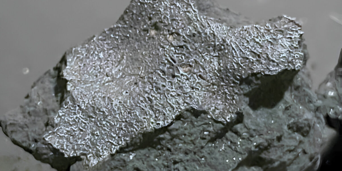Fragment des Hillsborough-Meteoriten
