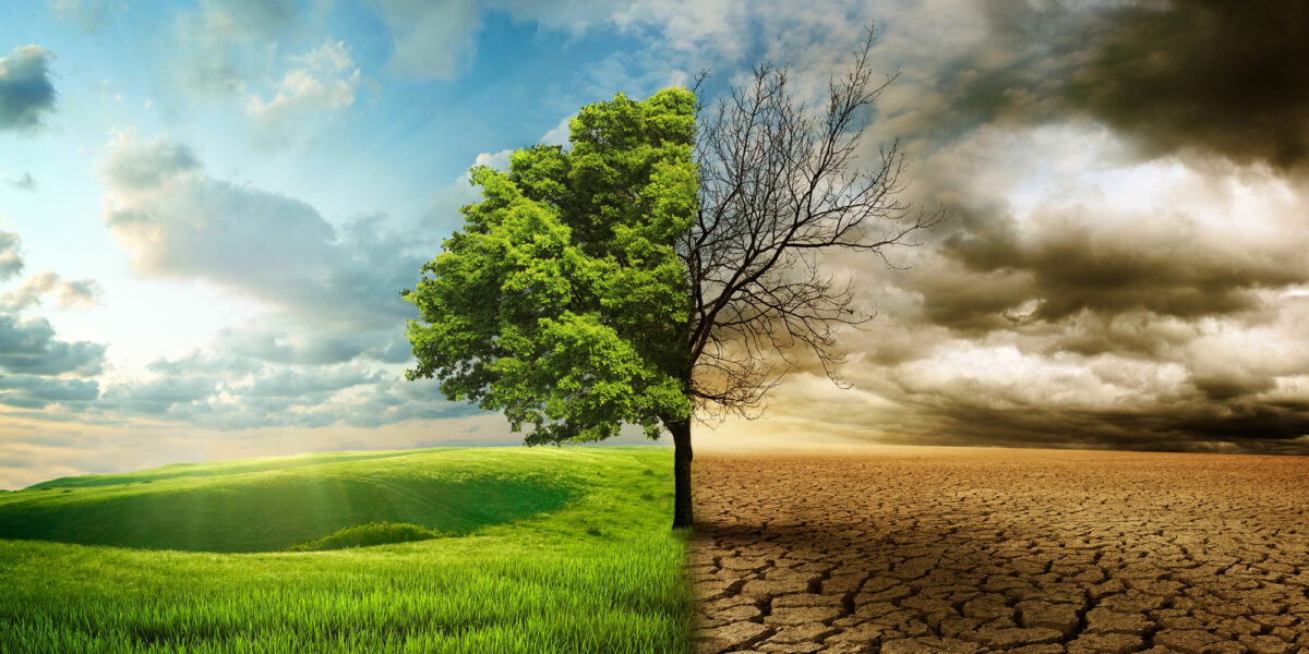 Grüne Vegetation auf der einen, ausgedörrte Landschaft auf der anderen Seite