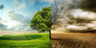 Grüne Vegetation auf der einen, ausgedörrte Landschaft auf der anderen Seite