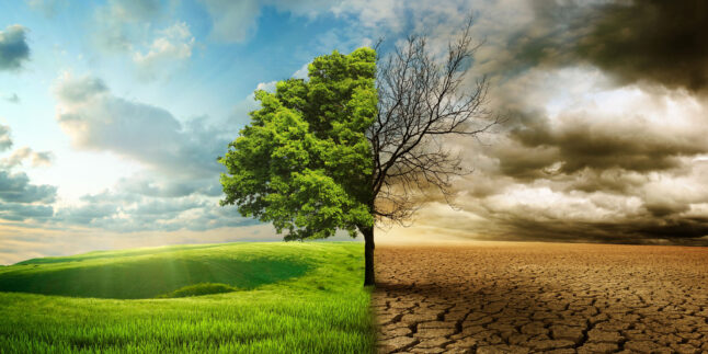 Grüne Vegetation auf der einen, ausgedörrte Landschaft auf der anderen Seite