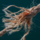 Textilfasern in Wasser