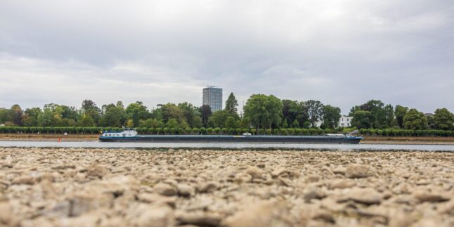 Niedrigwasser am Rhein: Am Beueler Rheinufer in Bonn liegt das Flussbett bei einem Pegelstand von 78 cm weitgehend trocken