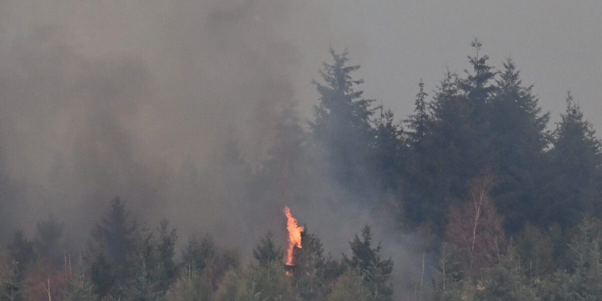 Waldbrand im Hürtgenwald
