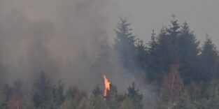 Waldbrand im Hürtgenwald