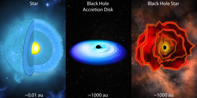 Stern, Schwarzes Loch und Black-Hole-Star im Vergleich