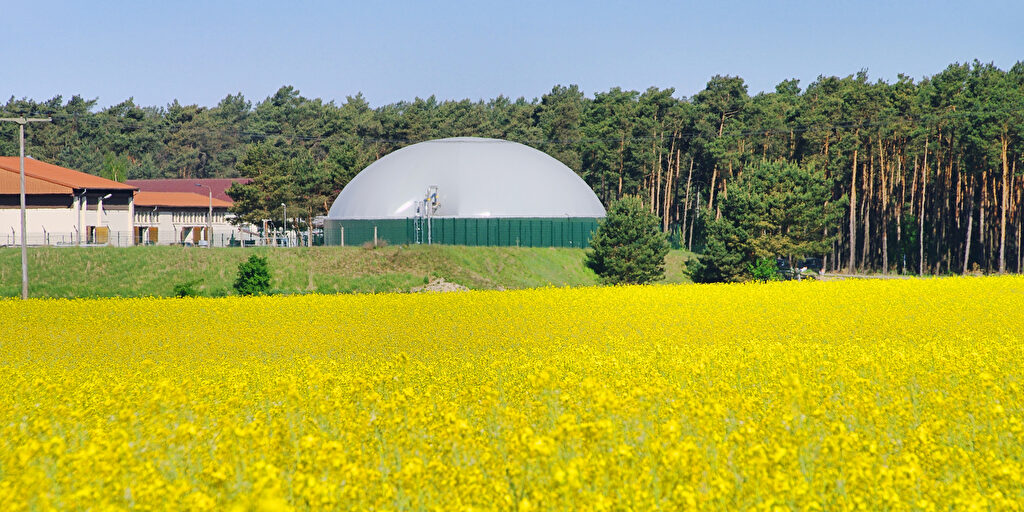 Biogas: Was ist das, wofür lässt es sich verwenden?