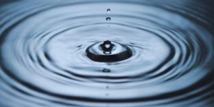 Wasser