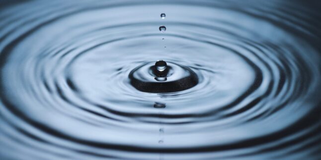 Wasser