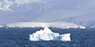 Eisberge vor der antarktischen Küste