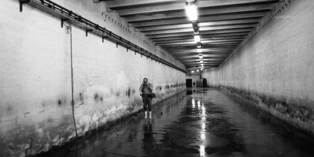 Im Sommer 1990 stand in einem Abschnitt des Lindentunnels am Berliner Bebelplatz Wasser