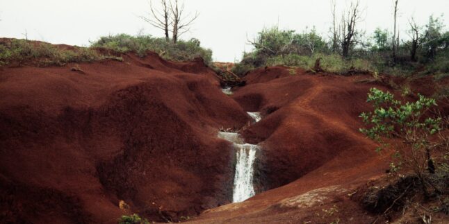 Kauai Boden Hawai