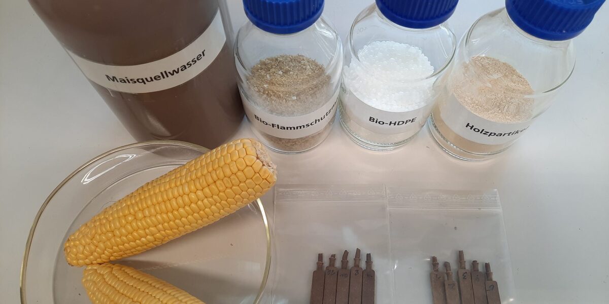 Forschenden des Fraunhofer WKI und des Fraunhofer IAP ist es gelungen, ein nachhaltiges Flammschutzmittel für Biowerkstoffe auf Basis von Maisquellwasser herzustellen. Foto: Fraunhofer WKI
