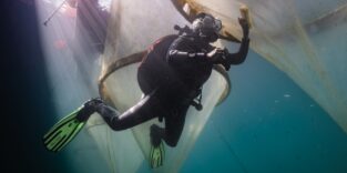 Taucherin Isabell Hentschel reinigt die Mesokosmen unter Wasser, damit der natürliche Lichteinfall erhalten bleibt