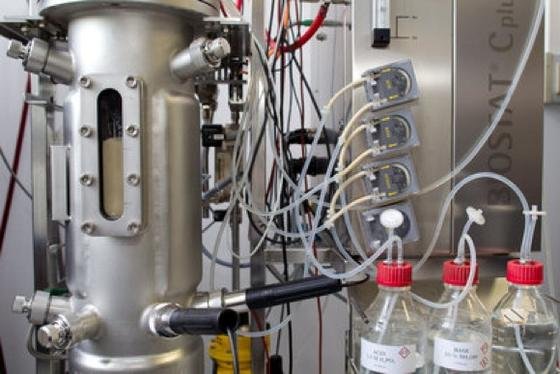 Endlos lang: Die biotechnologisch hergestellte Seidenfaser