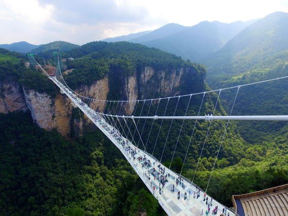Auf der höchsten Glasbrücke der Welt schlottern jedem die Knie