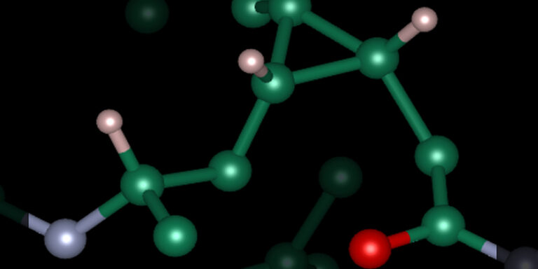Kunststoff aus biogenen Reststoffen als Erdöl-Alternative