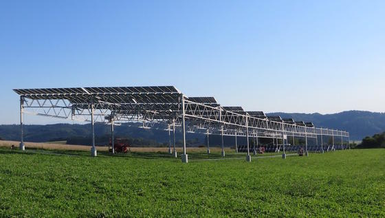 Doppelte Ernte: Strom und Salat vom gleichen Acker