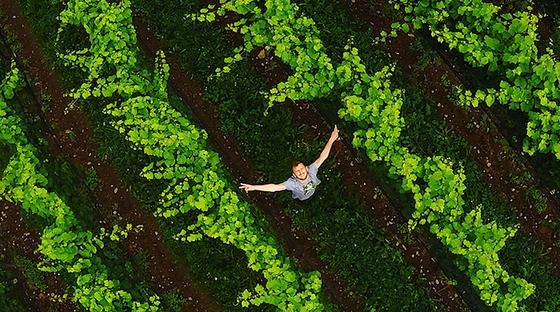 Mit diesem Wurfpfeil macht ihre GoPro-Kamera Actionbilder aus der Luft