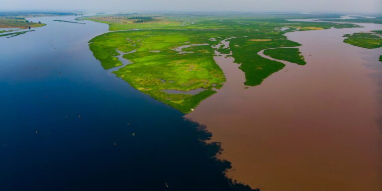 Afrikas Klimaschatz verliert CO₂: Leck im größten Tropenmoor
