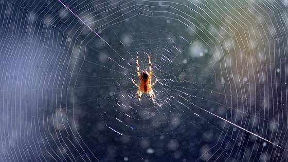 Körperteile im Spinnverfahren produzieren