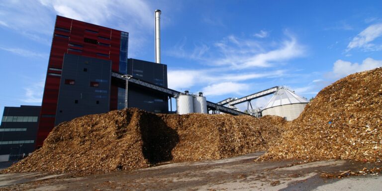 Nasse Biomasse direkt nutzen: Neue Pfade zum grünen Methanol