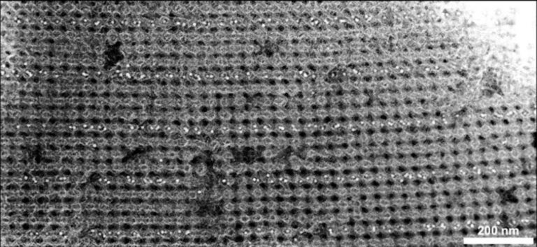 Revolutionäre 3D-Materialien: DNA definiert Nanotechnologie neu