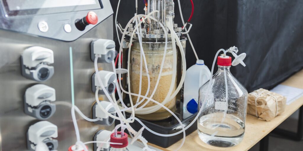 Labor-Bioreaktor mit Glasgefäß, Rührwerk, Schläuchen und angeschlossenen Pumpen zur kontrollierten Kultivierung von Mikroorganismen.