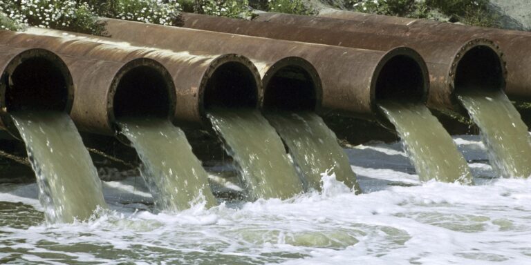30 Mio. t CO₂: Hereon-Forscher nutzen Abwasser als Klimaspeicher