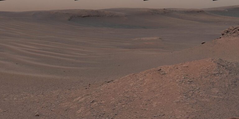 Mars-Rover war gestern: Dieser Roboter kriecht wie ein Zollwurm