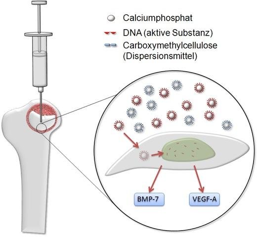Mit DNA und Nanopaste