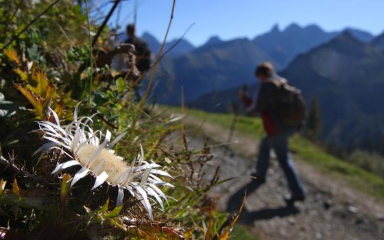EU sucht Energiespeicher im Alpenraum