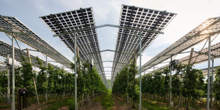 NRW gibt neue Fördertöpfe frei: für Agri- und Floating-PV