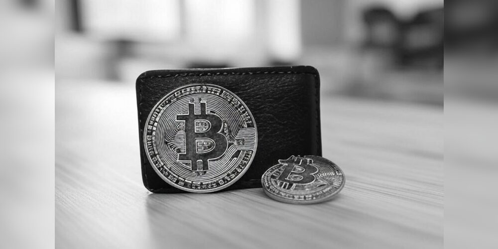 Beste Bitcoin Wallets: Test & Vergleich für 2025