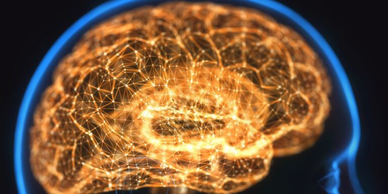 Bewegung macht klug – und schützt vor Alzheimer